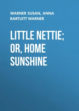 Anna Bartlett Warner Little Nettie; or, Home Sunshine обложка книги