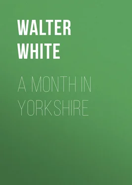 Walter White A Month in Yorkshire обложка книги