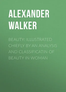 Alexander Walker Beauty: Illustrated Chiefly by an Analysis and Classificatin of Beauty in Woman обложка книги