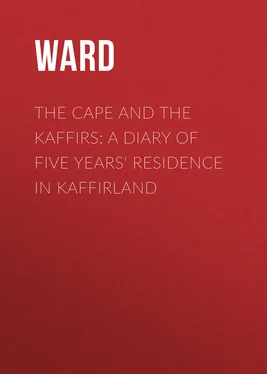 Ward The Cape and the Kaffirs: A Diary of Five Years' Residence in Kaffirland обложка книги