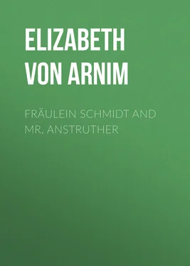 Elizabeth von Arnim Fräulein Schmidt and Mr. Anstruther обложка книги