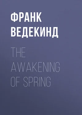 Франк Ведекинд The Awakening of Spring обложка книги