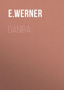 E. Werner Danira обложка книги