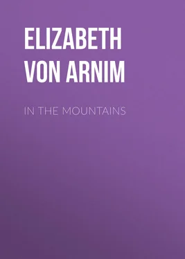 Elizabeth von Arnim In the Mountains обложка книги
