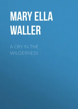 Mary Waller A Cry in the Wilderness обложка книги