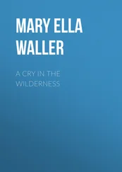 Mary Waller - A Cry in the Wilderness