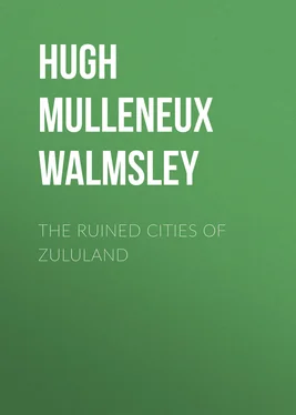 Hugh Walmsley The Ruined Cities of Zululand обложка книги