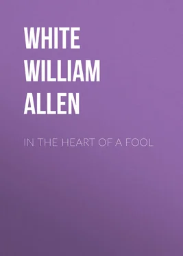 William White In the Heart of a Fool обложка книги