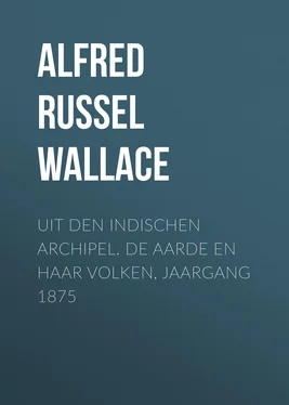 Alfred Wallace Uit den Indischen Archipel. De Aarde en haar volken, Jaargang 1875 обложка книги