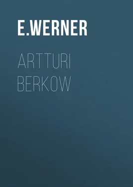 E. Werner Artturi Berkow обложка книги