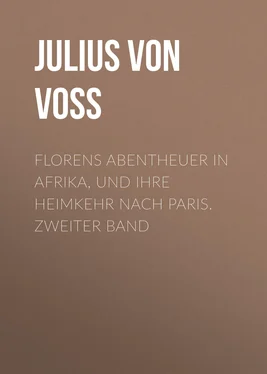 Julius Voss Florens Abentheuer in Afrika, und ihre Heimkehr nach Paris. Zweiter Band обложка книги