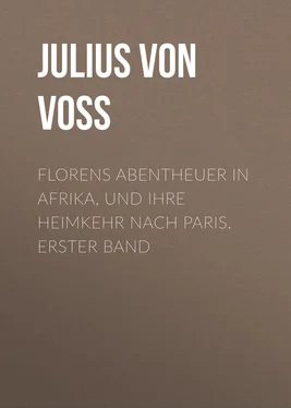 Julius Voss Florens Abentheuer in Afrika, und ihre Heimkehr nach Paris. Erster Band обложка книги