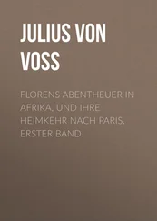 Julius Voss - Florens Abentheuer in Afrika, und ihre Heimkehr nach Paris. Erster Band