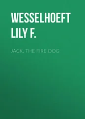 Lily Wesselhoeft - Jack, the Fire Dog