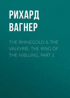 Рихард Вагнер The Rhinegold & The Valkyrie. The Ring of the Niblung, part 1 обложка книги