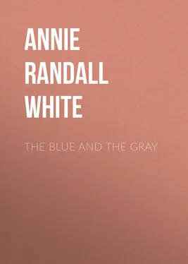 Annie Randall White The Blue and The Gray обложка книги