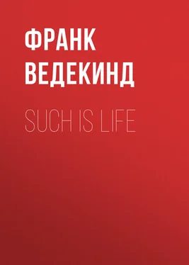 Франк Ведекинд Such is Life обложка книги