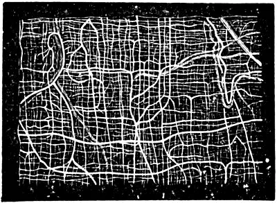 Fig 36 Injectionspräparat von der Muskelhaut des Magens eines Kaninchens 11 - фото 19
