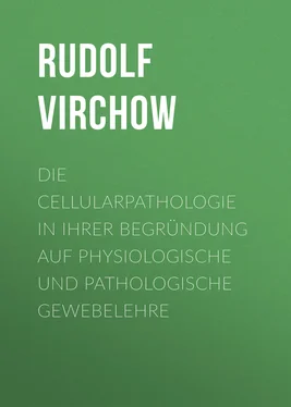 Rudolf Virchow Die Cellularpathologie in ihrer Begründung auf physiologische und pathologische Gewebelehre обложка книги