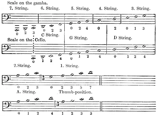 Scale on the gamba 7 String 6 String 5 String 4 String 3 String 2 - фото 15