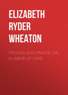 Elizabeth Ryder Wheaton Prisons and Prayer; Or, a Labor of Love обложка книги