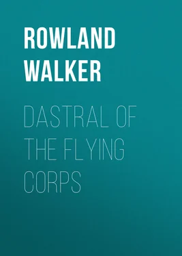 Rowland Walker Dastral of the Flying Corps обложка книги