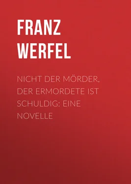 Franz Werfel Nicht der Mörder, der Ermordete ist schuldig: Eine Novelle обложка книги