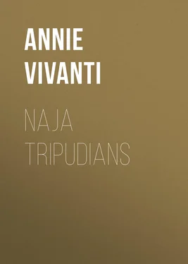 Annie Vivanti Naja tripudians обложка книги