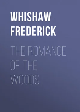 Frederick Whishaw The Romance of the Woods обложка книги