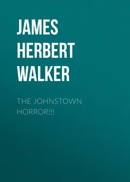 James Walker The Johnstown Horror!!! обложка книги