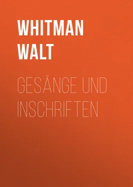 Уолт Уитмен Gesänge und Inschriften обложка книги