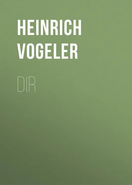 Heinrich Vogeler DIR обложка книги
