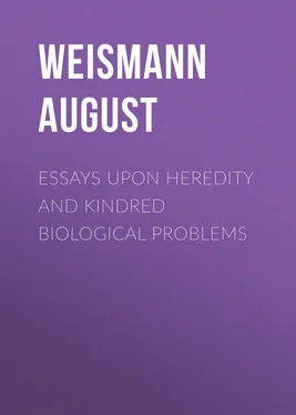 August Weismann Essays Upon Heredity and Kindred Biological Problems обложка книги