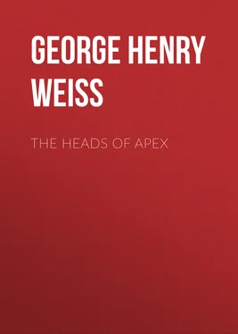 George Henry Weiss The Heads of Apex обложка книги