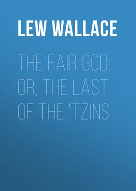 Lew Wallace The Fair God; or, The Last of the 'Tzins обложка книги