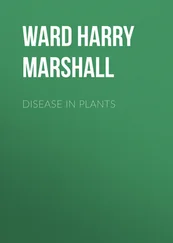 Harry Ward - Disease in Plants