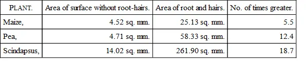 which sufficiently establishes the general proposition that the area of the - фото 1