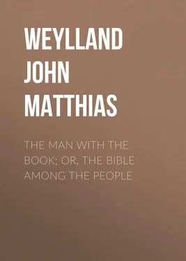 John Weylland The Man with the Book; or, The Bible Among the People обложка книги