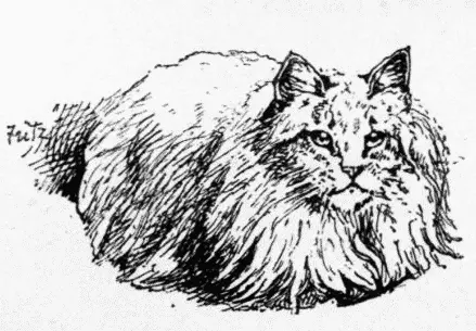 A short time since I saw a white Persian cat with deep blue eyes sitting at the - фото 7