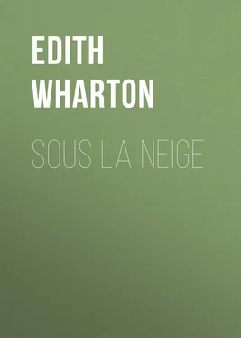 Edith Wharton Sous la neige обложка книги
