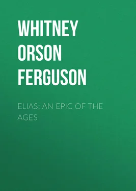 Orson Whitney Elias: An Epic of the Ages обложка книги