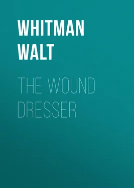 Уолт Уитмен The Wound Dresser обложка книги