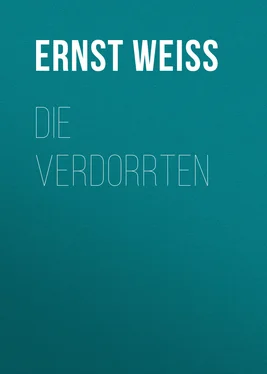 Ernst Weiss Die Verdorrten обложка книги