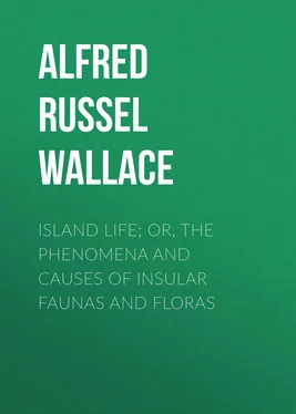 Alfred Wallace Island Life; Or, The Phenomena and Causes of Insular Faunas and Floras обложка книги
