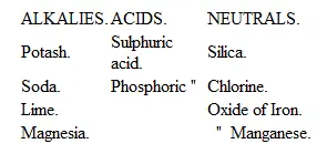 CHAPTER V GROWTH Of what does a perfect young plant consist How must the food - фото 1