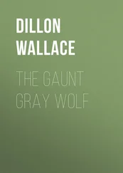Dillon Wallace - The Gaunt Gray Wolf