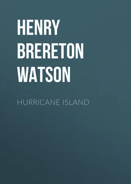 Henry Watson Hurricane Island обложка книги