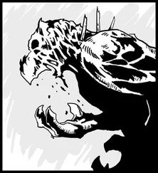 Павел Шафранский - Виртос