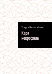 Тогрул Мехти - Кара некрофила