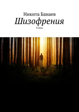 Никита Банаев Шизофрения. Стихи обложка книги